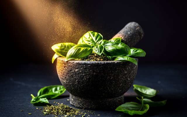 Basil