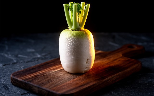 Daikon Radish